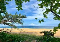 Grundstück in Costa Rica in einer der blauen Zonen der Erde