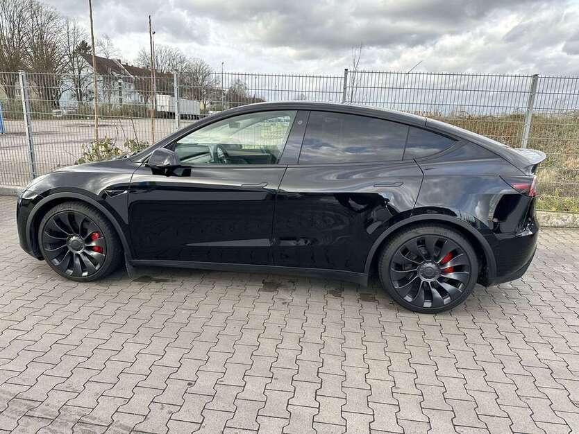 Model Y