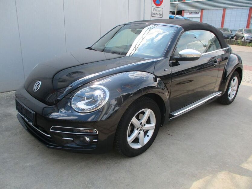 Beetle
