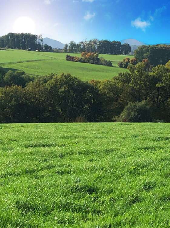 Grundstück zu verkaufen in Buchholz 367.000 € 1782 m²