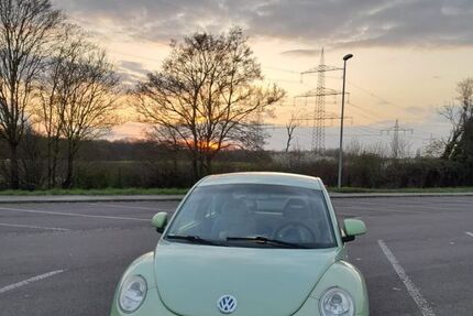 VW Beetle