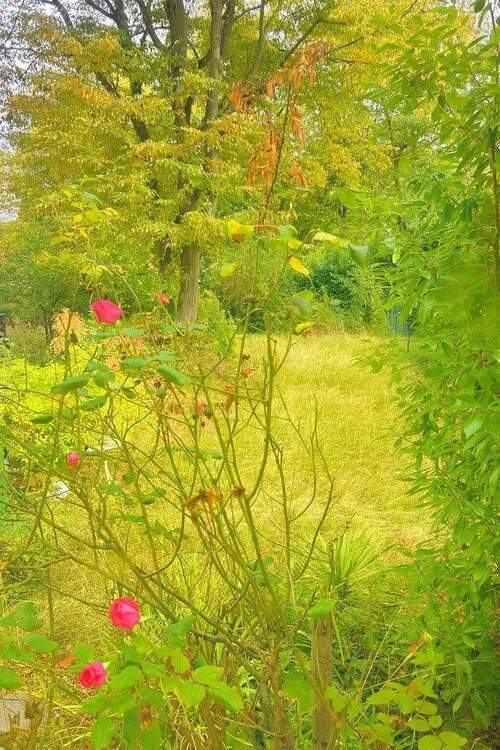 *Frisch renoviert und bezugsfertig* Moderne 3 Zimmer Wohnung *Garten* 3 zimmer