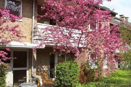 Wohnung Bonn Tannenbusch - 2 Zimmer, 48 m&sup2;, 625&euro; | Angebot:27255815