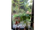 Gewerbeobjekt Hennef (Sieg) - 150&euro; | Angebot:26445630