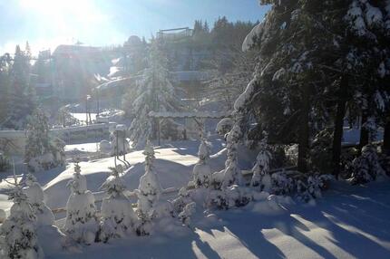 Eigentumswohung in Winterberg, Nähe Skilift und Bobbahn