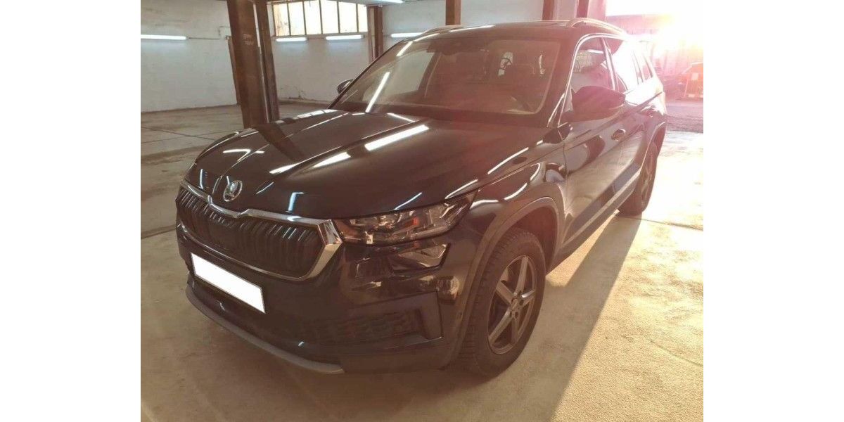 Skoda Kodiaq 130.950 km 26.440 &euro; Hennef 53773