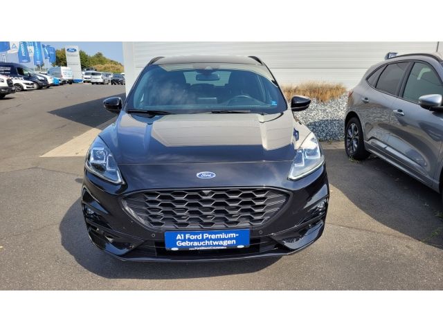 Kuga