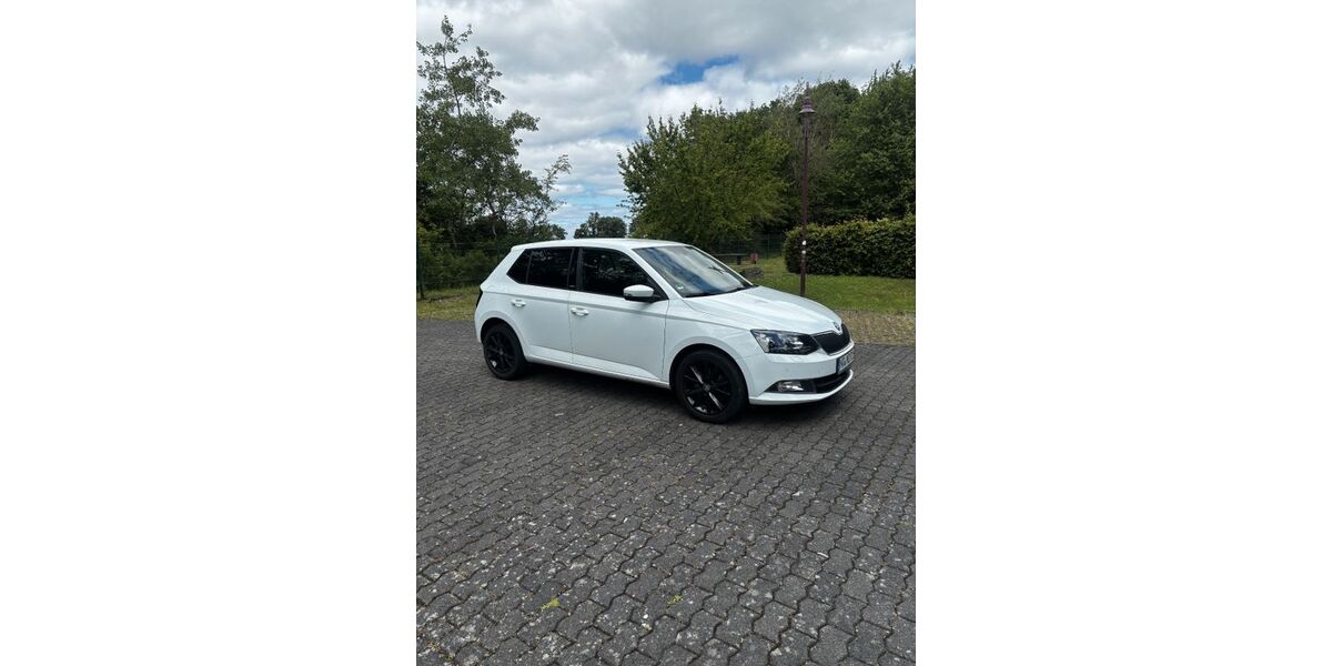 Skoda Fabia 130.250 km 8.700 &euro; Buchholz 53567