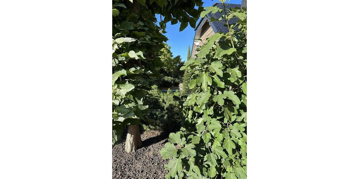 Gewerbeobjekt Euskirchen Dom-Esch - 623&euro; | Angebot:25599627