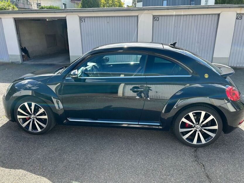 Beetle