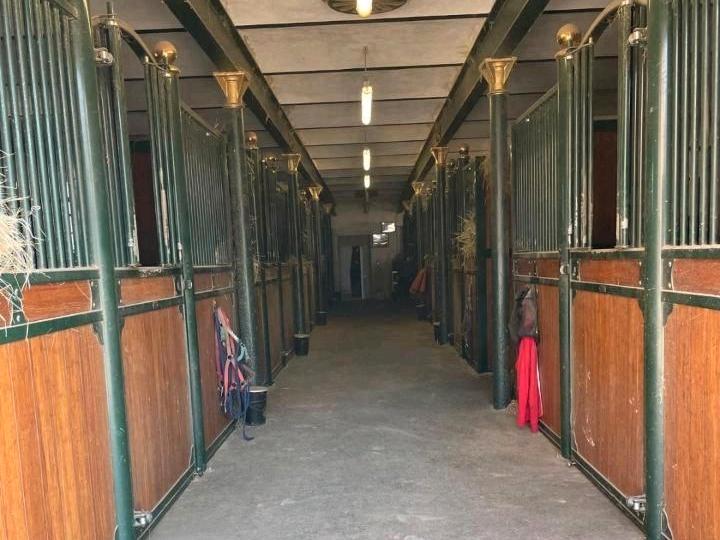 Einfamilienhaus Königswinter - 7 Zimmer, 1.000 m&sup2;, 1.600.000&euro; | Angebot:26534593