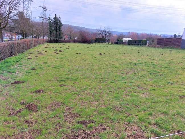 Grundstück zu verkaufen in Alfter Impekoven 283.000 € 804 m²