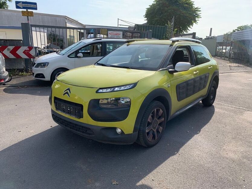 C4 Cactus