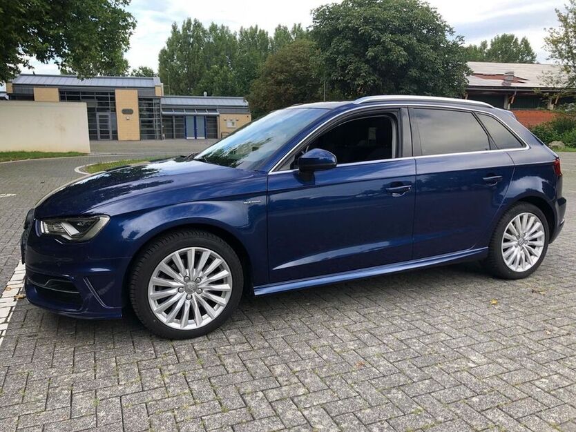 A3