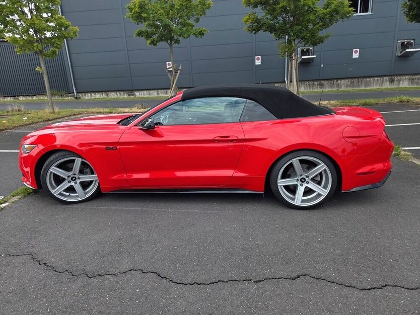 Mustang