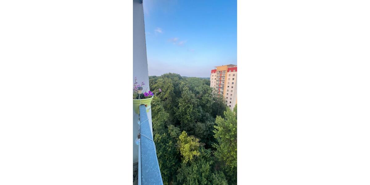 Etagenwohnung Bergisch Gladbach Paffrath - 4 Zimmer, 112 m&sup2;, 1.680&euro; | Angebot:24372062