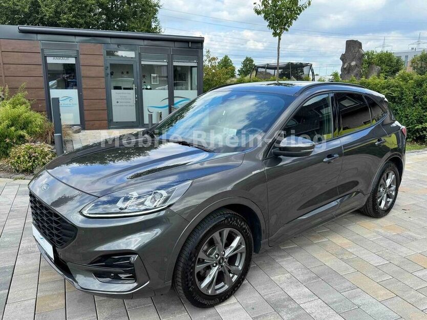 Kuga