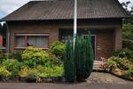 Einfamilienhaus Frechen - 520.000&euro; | Angebot:26528490