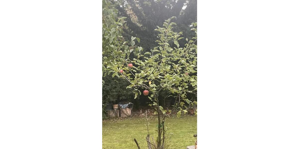 Hochparterre Bonn Lannesdorf - 2 Zimmer, 58 m&sup2;, 239.000&euro; | Angebot:25966348