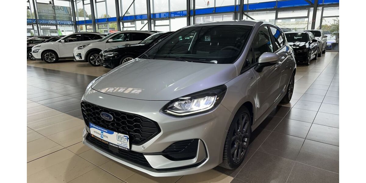 Ford Fiesta 18.168 km 15.650 &euro; Eitorf 53783