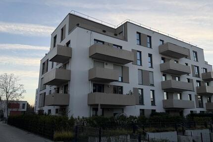 2-Zimmer-Neubauwohnung mit großzügiger Dachterrasse & Top-Anbindung 2 zimmer