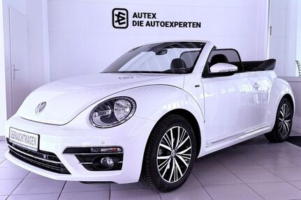 VW Beetle
