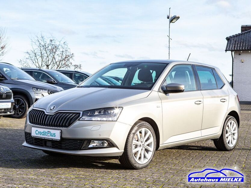 Skoda Fabia 39.990 km 15.790 € Neunkirchen-Seelscheid 53819