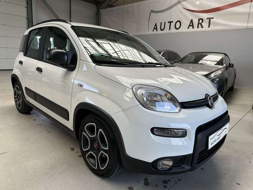 Panda
