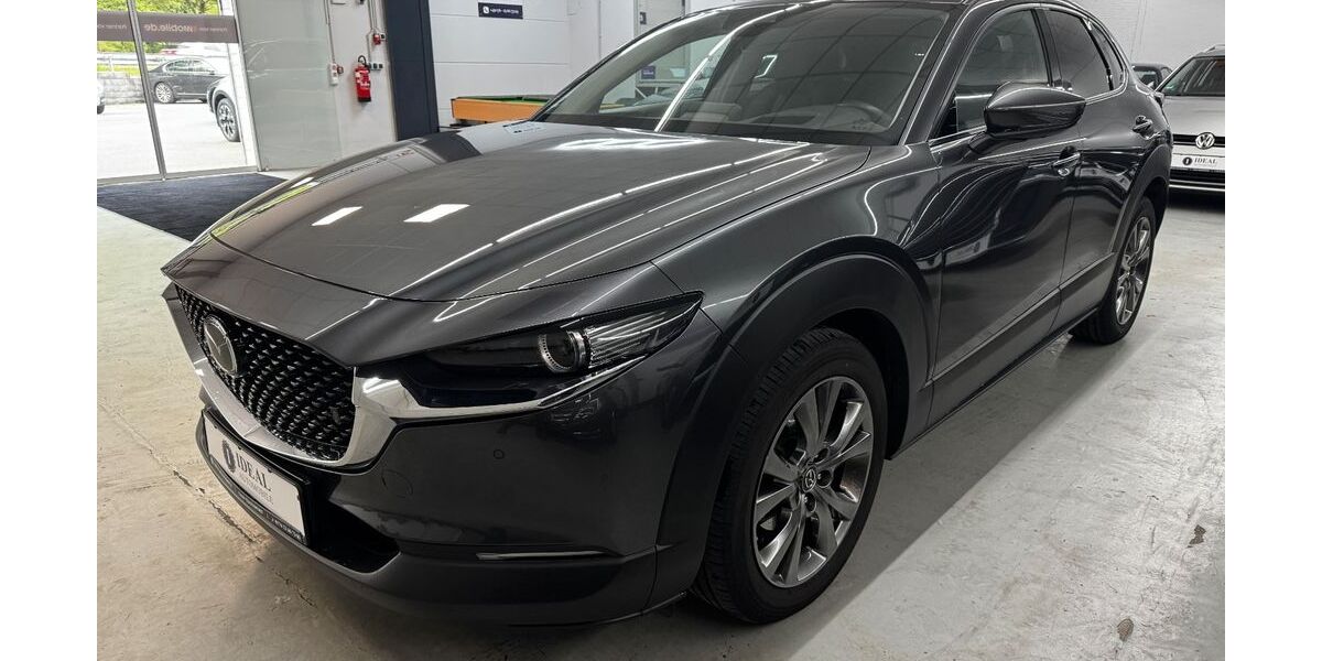 Mazda CX-3 24.900 km 21.780 &euro; Much 53804