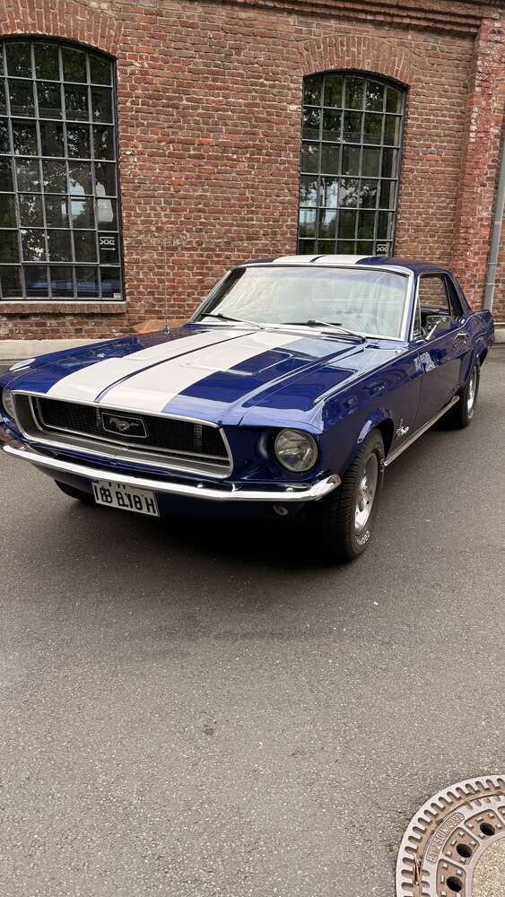 Mustang