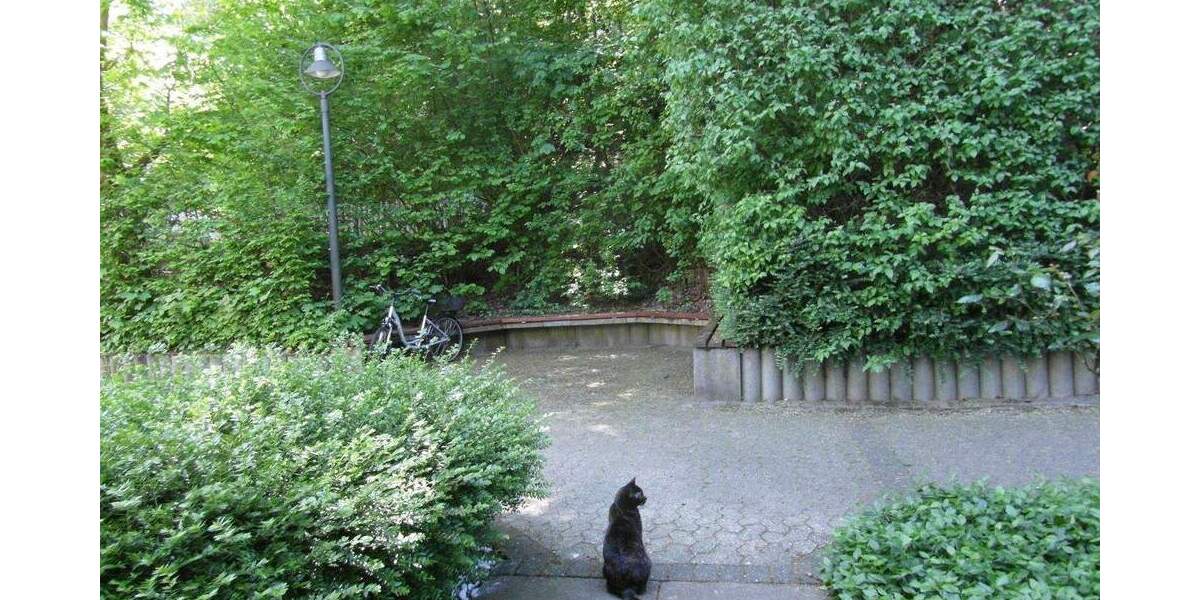 Etagenwohnung Bonn Dottendorf - 2 Zimmer, 63 m&sup2;, 245.000&euro; | Angebot:26541159