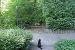 Etagenwohnung Bonn Dottendorf - 2 Zimmer, 63 m&sup2;, 245.000&euro; | Angebot:26541159