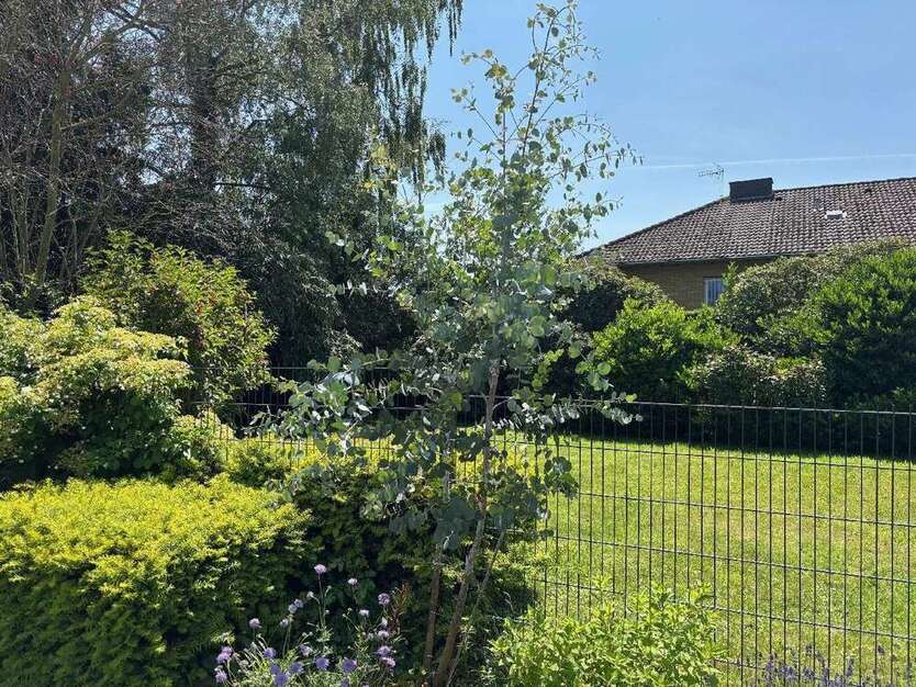 Wohnung zum Mieten in Meckenheim 1.370 € 114 m²