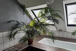 Doppelhaushälfte Euskirchen Dom-Esch - 5 Zimmer, 158 m&sup2;, 429.000&euro; | Angebot:26168496