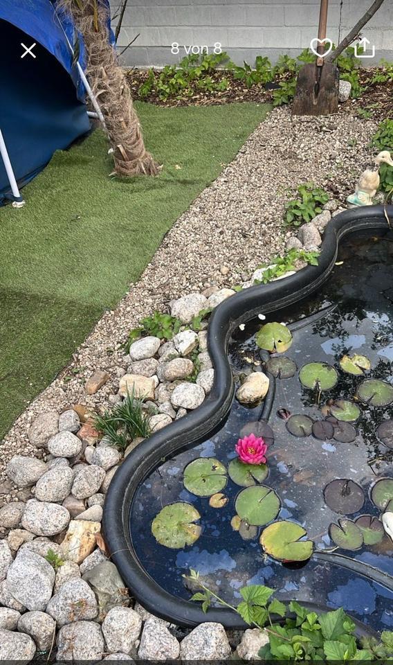 Zur Miete:EFH, Innenstadt, renoviert, 135qm, Garten. Top