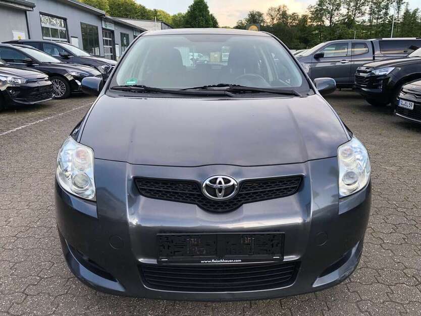 Auris