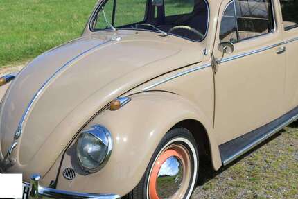 VW Käfer 54.238 km 34.457 &euro; Alfter 53347