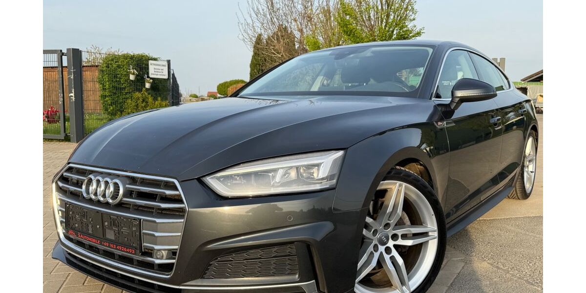 Audi A5 290.000 km 14.950 &euro; Bornheim 53332