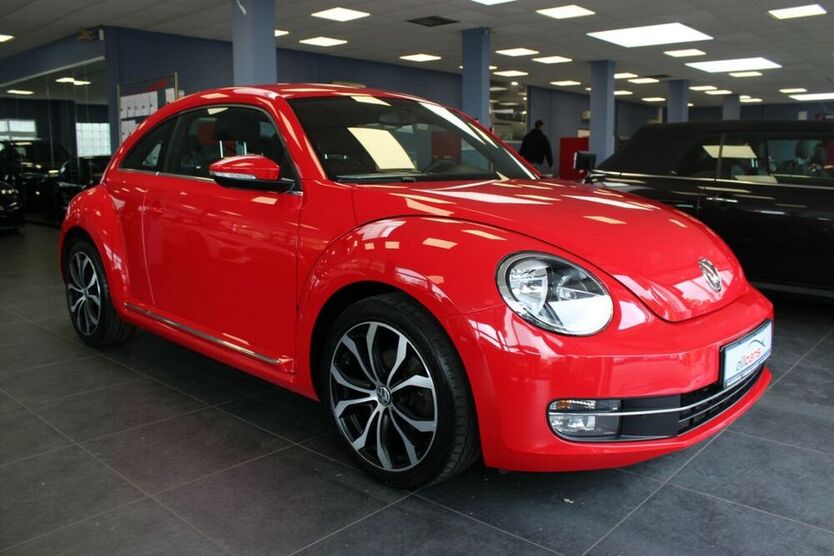 Beetle