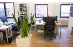 Gewerbeobjekt Köln Bayenthal - 300&euro; | Angebot:25879686