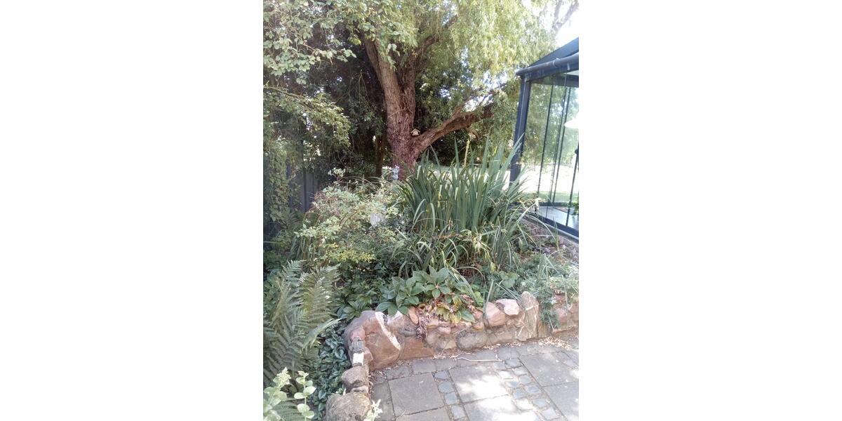 Einfamilienhaus Weilerswist - 4 Zimmer, 92 m&sup2;, 395.000&euro; | Angebot:24690614