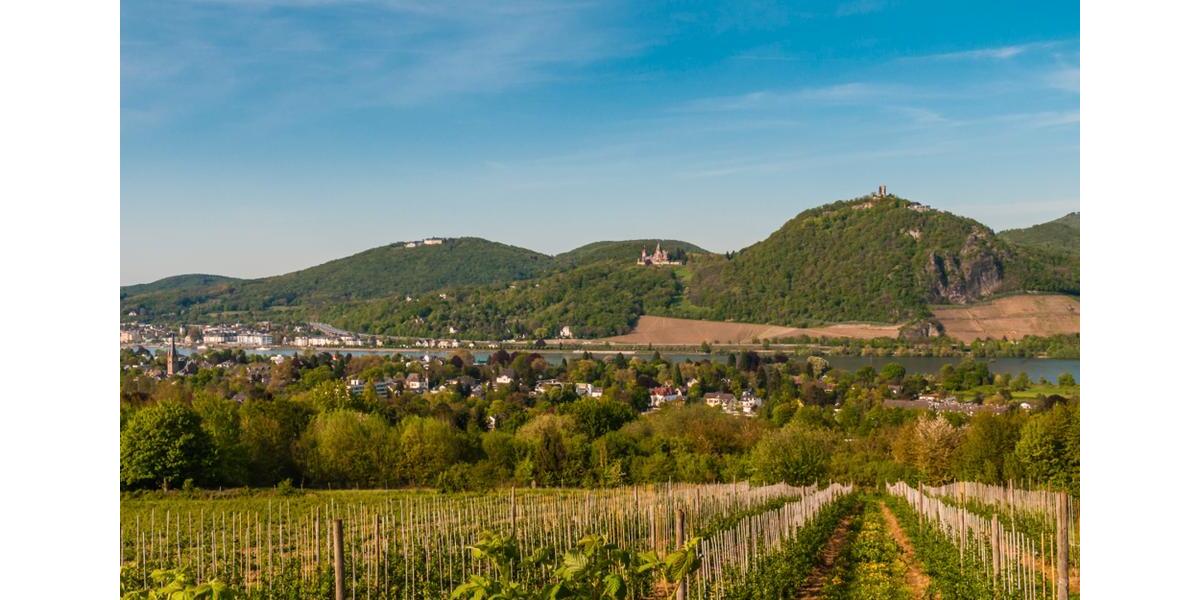 Etagenwohnung Bonn Lannesdorf - 3 Zimmer, 74 m&sup2;, 1.064&euro; | Angebot:26072575