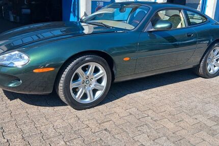 Jaguar XK 213.596 km 18.500 &euro; Köln / Lövenich 50858