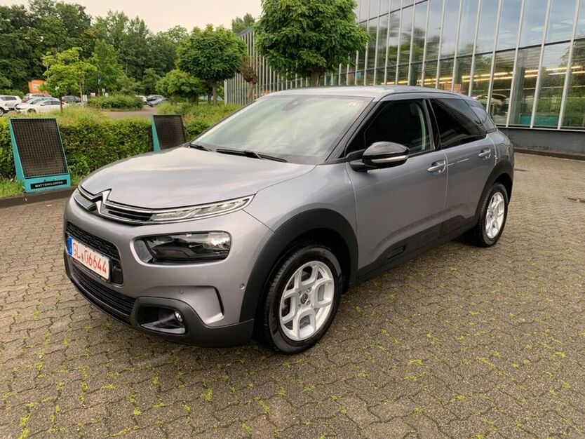 C4 Cactus
