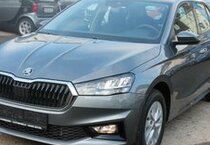 Skoda Fabia TSi DSG Alu AHK Klima Kamera SOFORT !!!!!