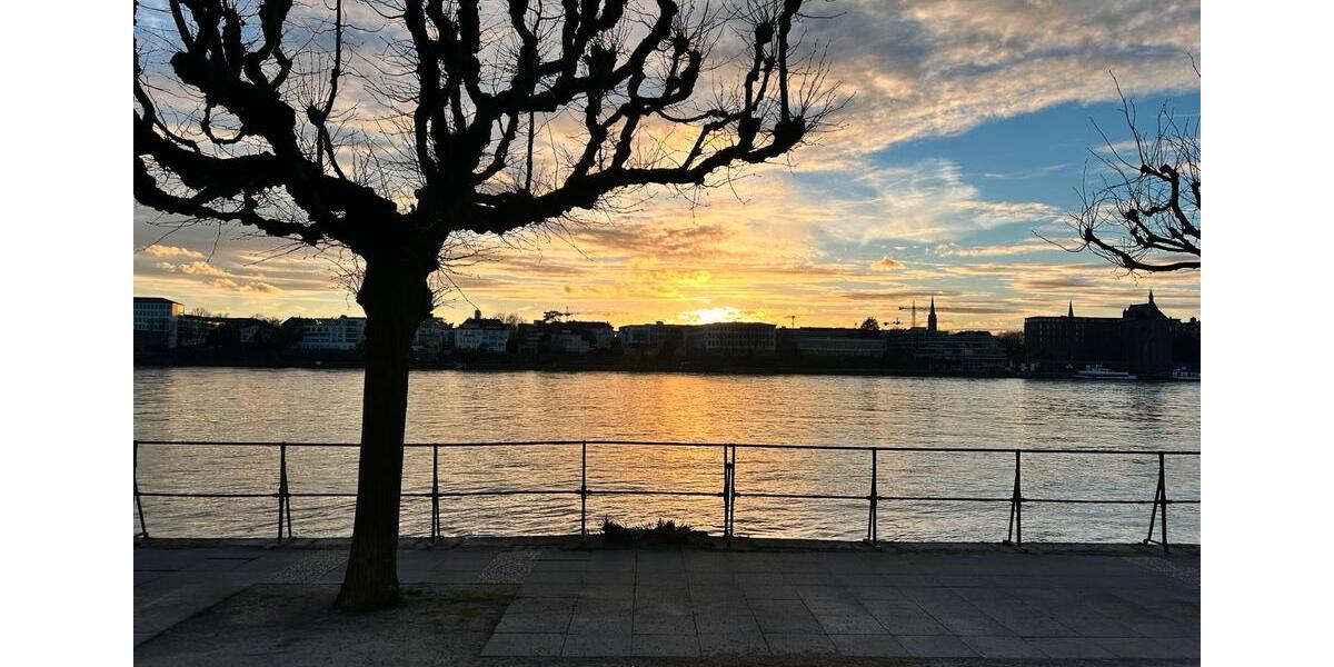 Etagenwohnung Bonn Beuel-Mitte - 1 Zimmer, 2 m&sup2;, 590&euro; | Angebot:25838722