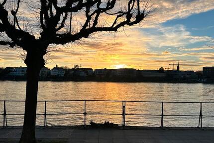 Wohnung Bonn Beuel-Mitte - 1 Zimmer, 2 m&sup2;, 590&euro; | Angebot:25838722