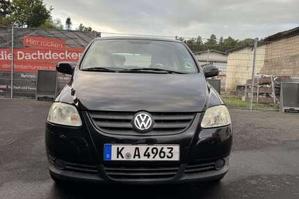 VW Fox