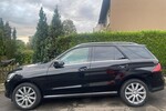 GLE