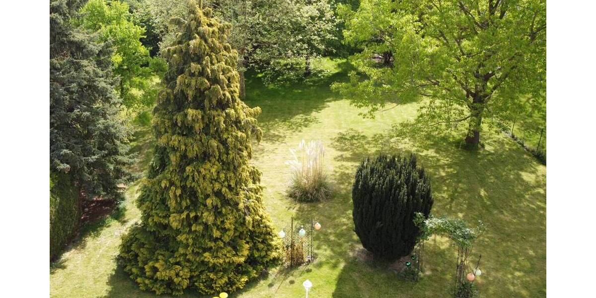 Einfamilienhaus Swisttal / Ludendorf Ludendorf - 4 Zimmer, 118 m&sup2;, 428.000&euro; | Angebot:26584658